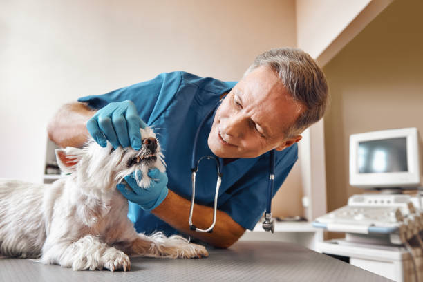 Best Urgent Care for Lost Fillings or Crowns in Warsaw, NC